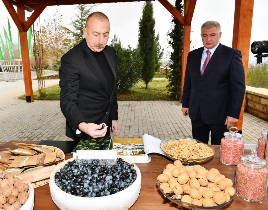 Президент Ильхам Алиев ознакомился с условиями, созданными в агропарке "Шеки-Огуз"