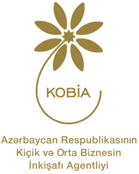Region sahibkarlarının maliyyə əlçatanlığı barədə maarifləndirilməsi üçün “Regional tərəfdaşların inkişafı” layihəsinə start verildi