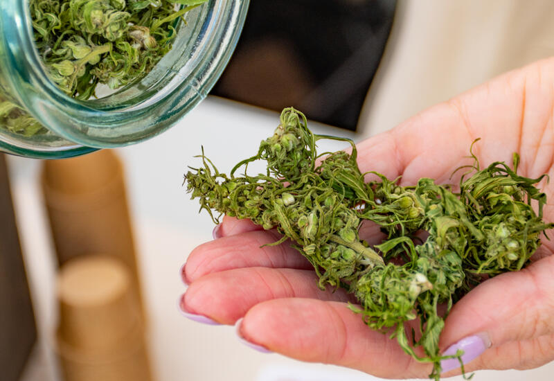 Чай из конопли: почему это новый суперфуд зимы