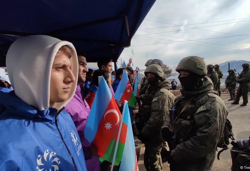 Лев проснулся