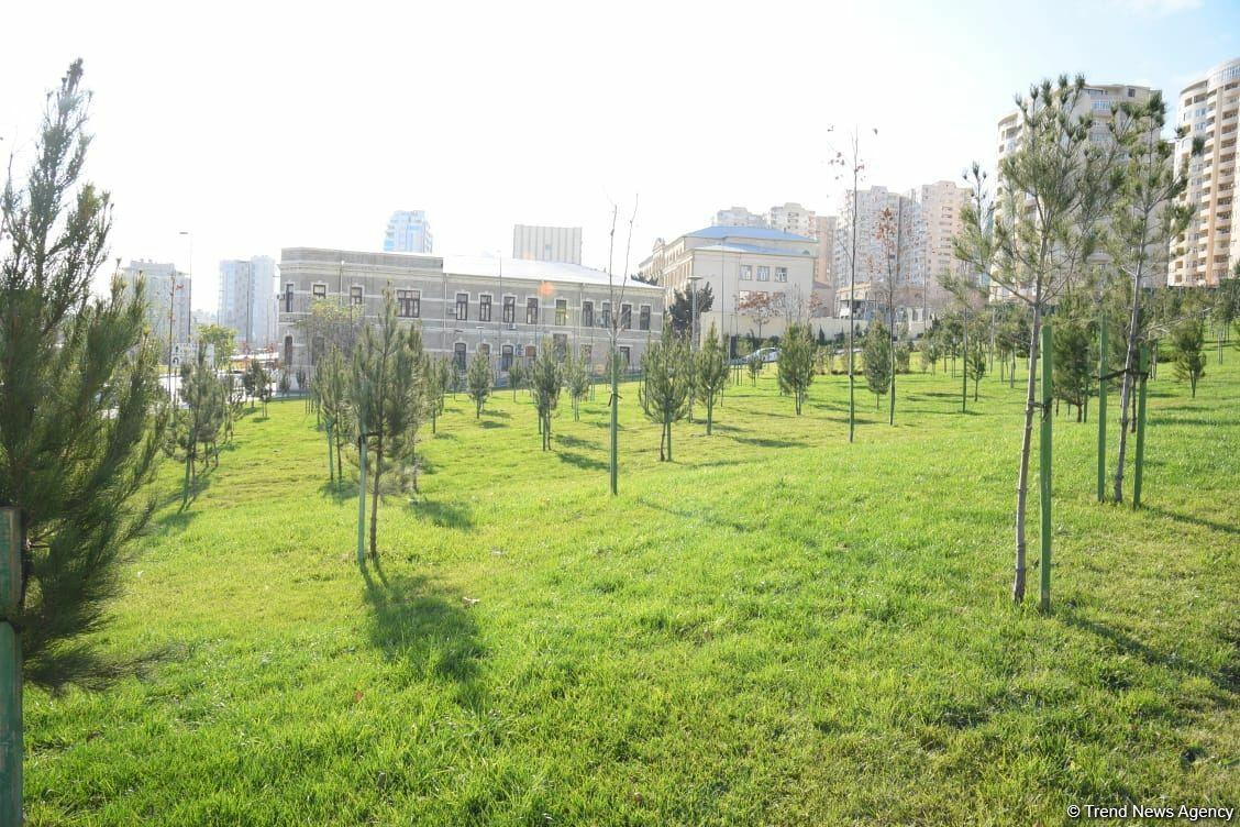 Открыта вторая часть Центрального парка в Баку