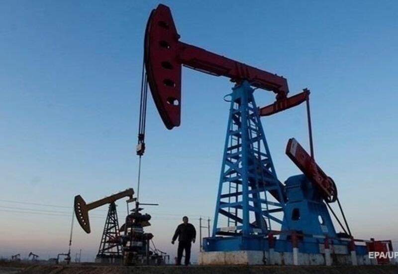 Нефть подорожала до максимума