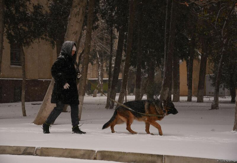 Заснеженный Баку