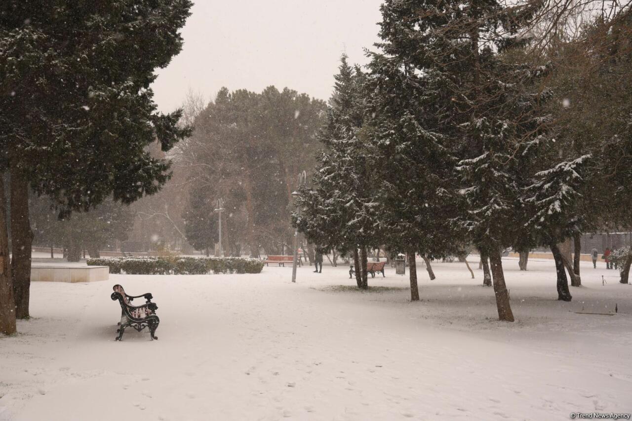 Заснеженный Баку