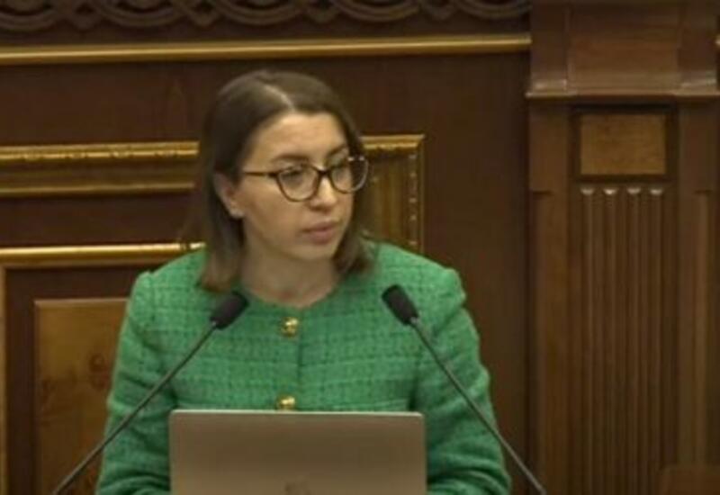 Омбудсмен Армении подала в отставку