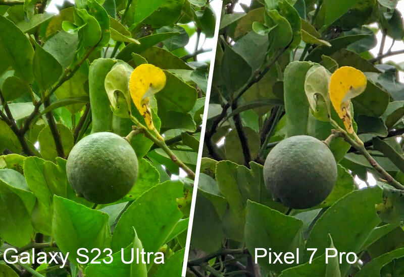 Фотовозможности Samsung Galaxy S23 Ultra сравнили с лучшим камерофоном 2022 года