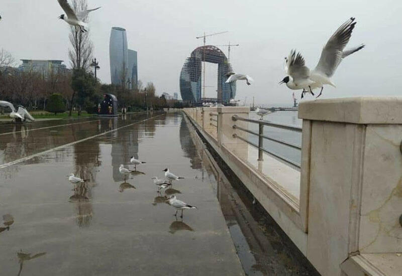 Какой погоды ждать завтра?