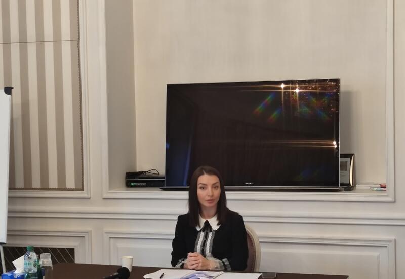 Лейла Абдуллаева провела в Париже пресс-конференцию для иностранных журналистов