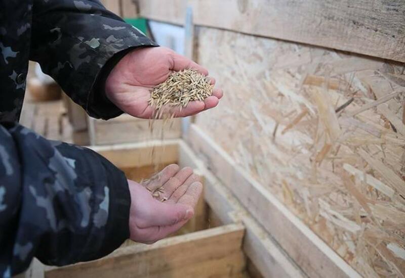 Бразилия и Германия заявили о поддержке зерновой сделки