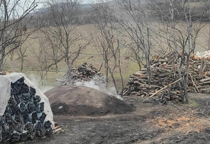 В Губе, Габале и Исмаиллы выявлены незаконные угольные скважины