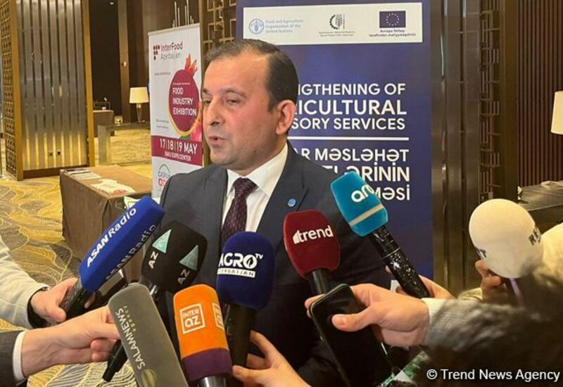 ФАО и Азербайджан сотрудничают по девяти приоритетным направлениям
