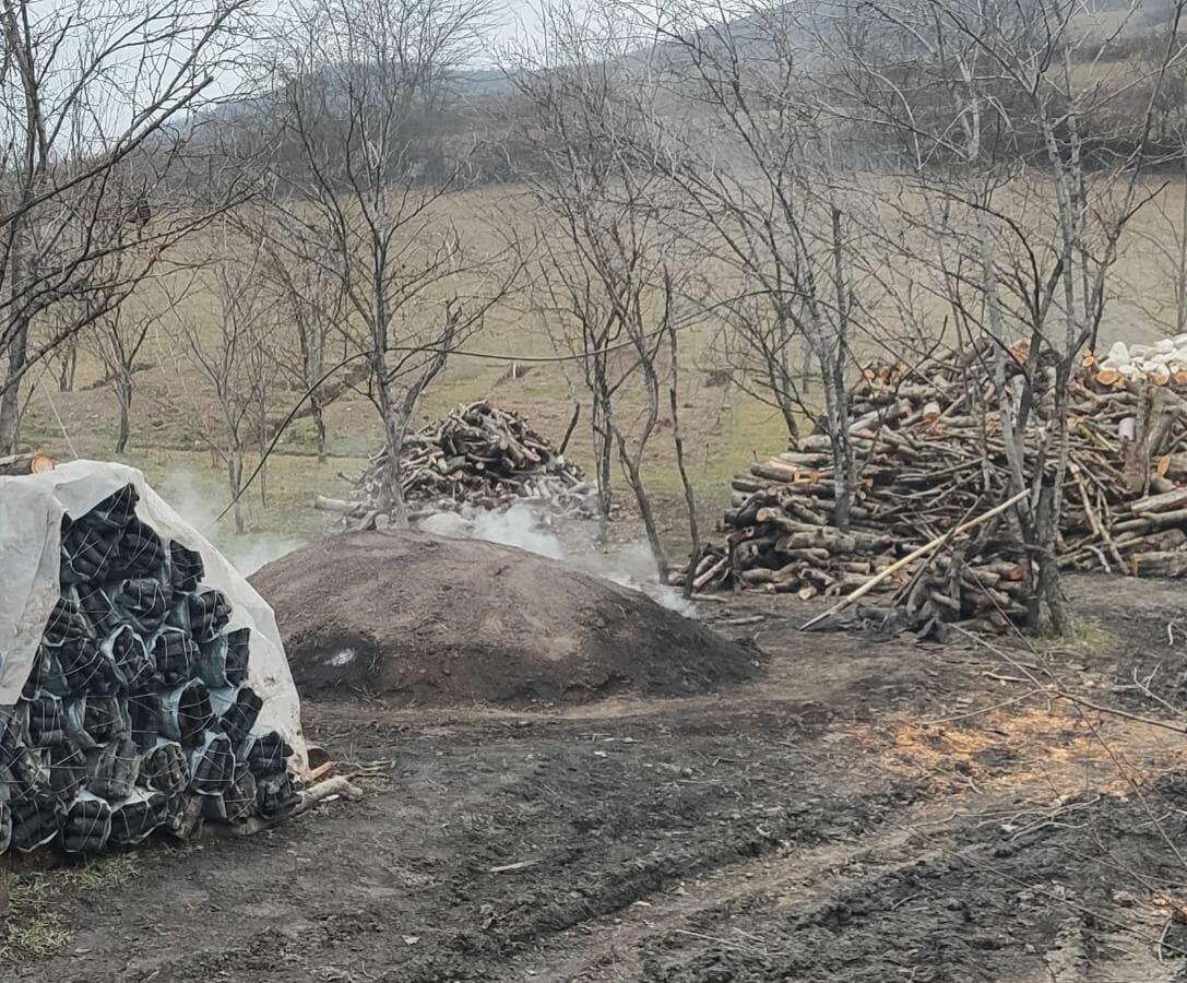 В Губе, Габале и Исмаиллы выявлены незаконные угольные скважины