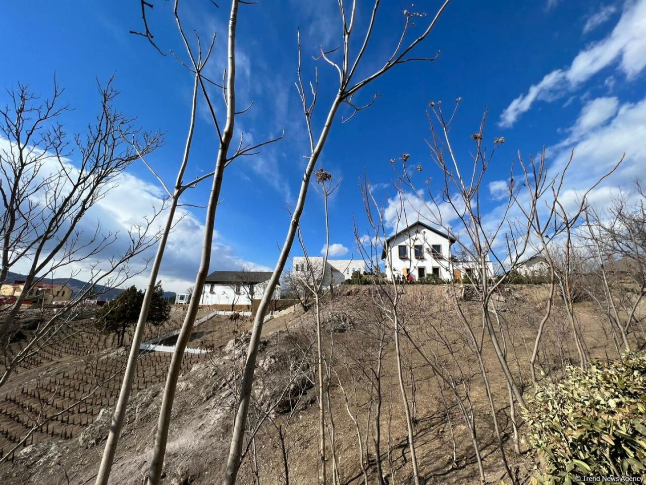 Иностранные путешественники ознакомились с макетами новых домов в городе Лачин