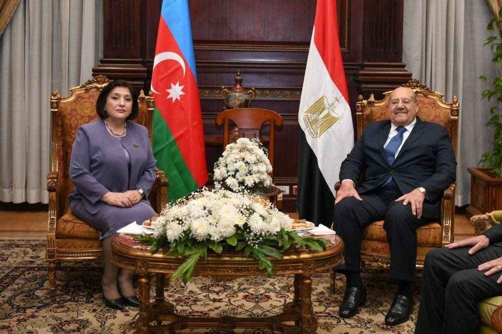 Sahibə Qafarova Misir Senatının sədri ilə görüşüb