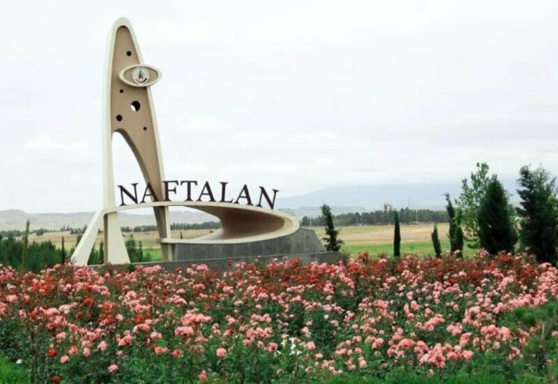 В Нафталане задержана мошенница-гадалка