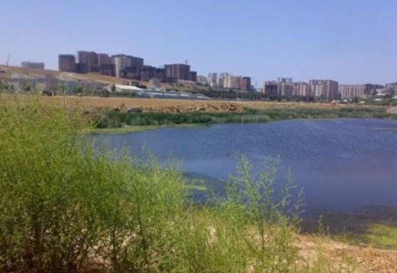 Обнародованы результаты химического и микробиологического анализов воды в озерах Абшерона