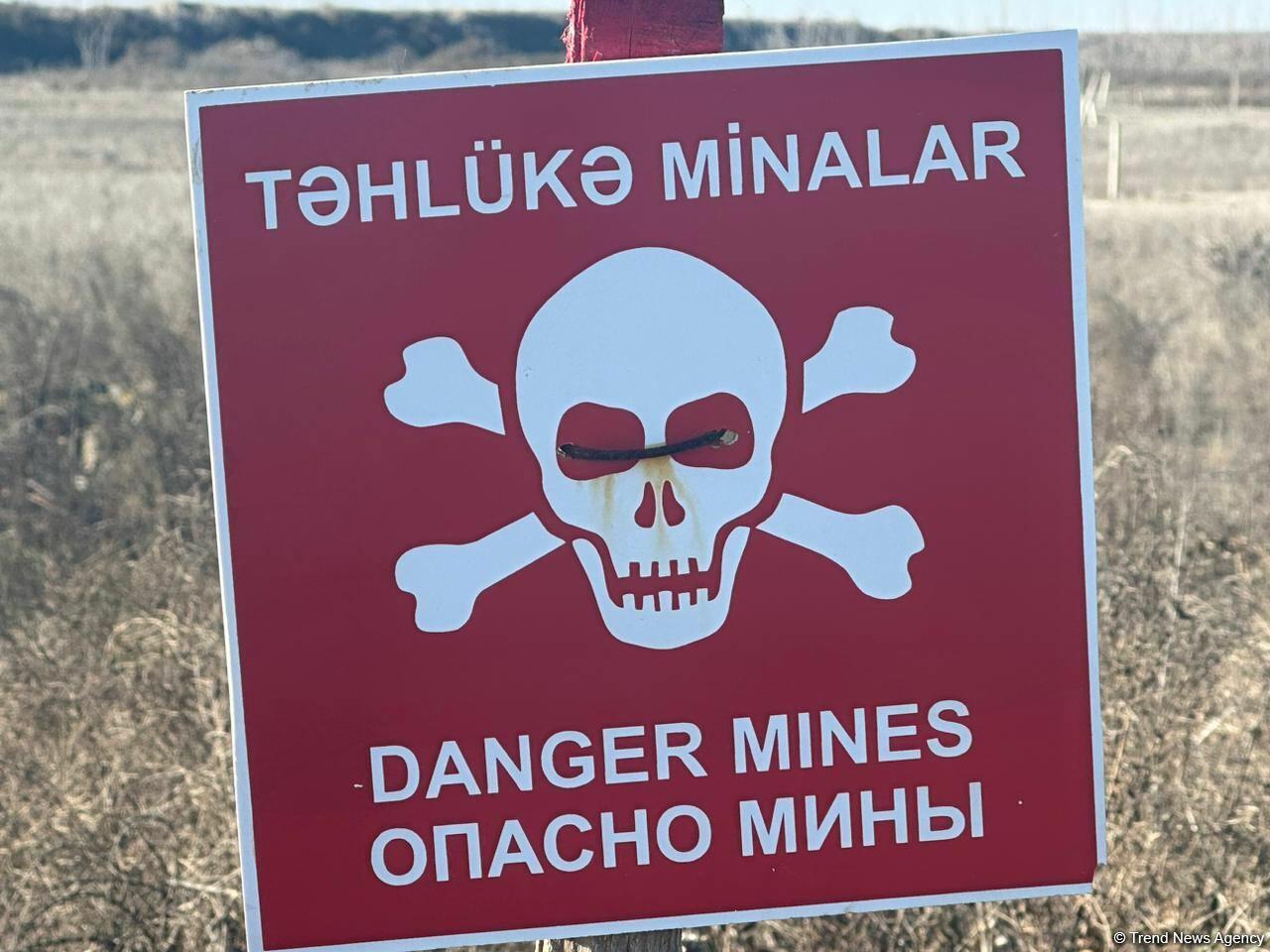 Ermənilər Füzulidə kütləvi məzarlıqların ətrafını minalayıb