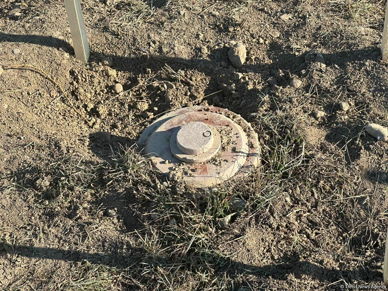 Ermənilər Füzulidə kütləvi məzarlıqların ətrafını minalayıb