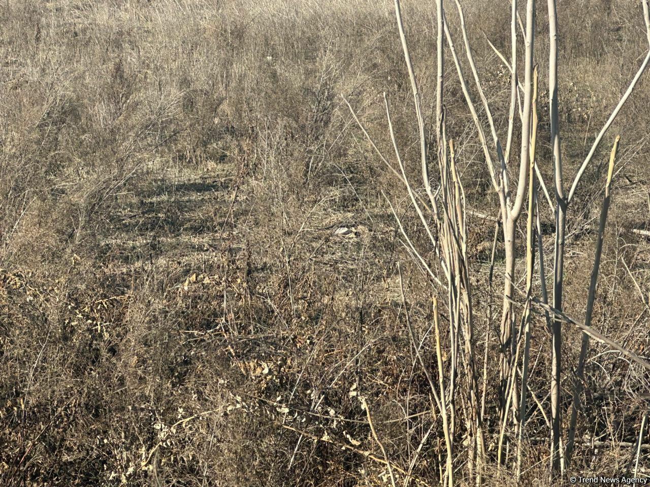 Ermənilər Füzulidə kütləvi məzarlıqların ətrafını minalayıb