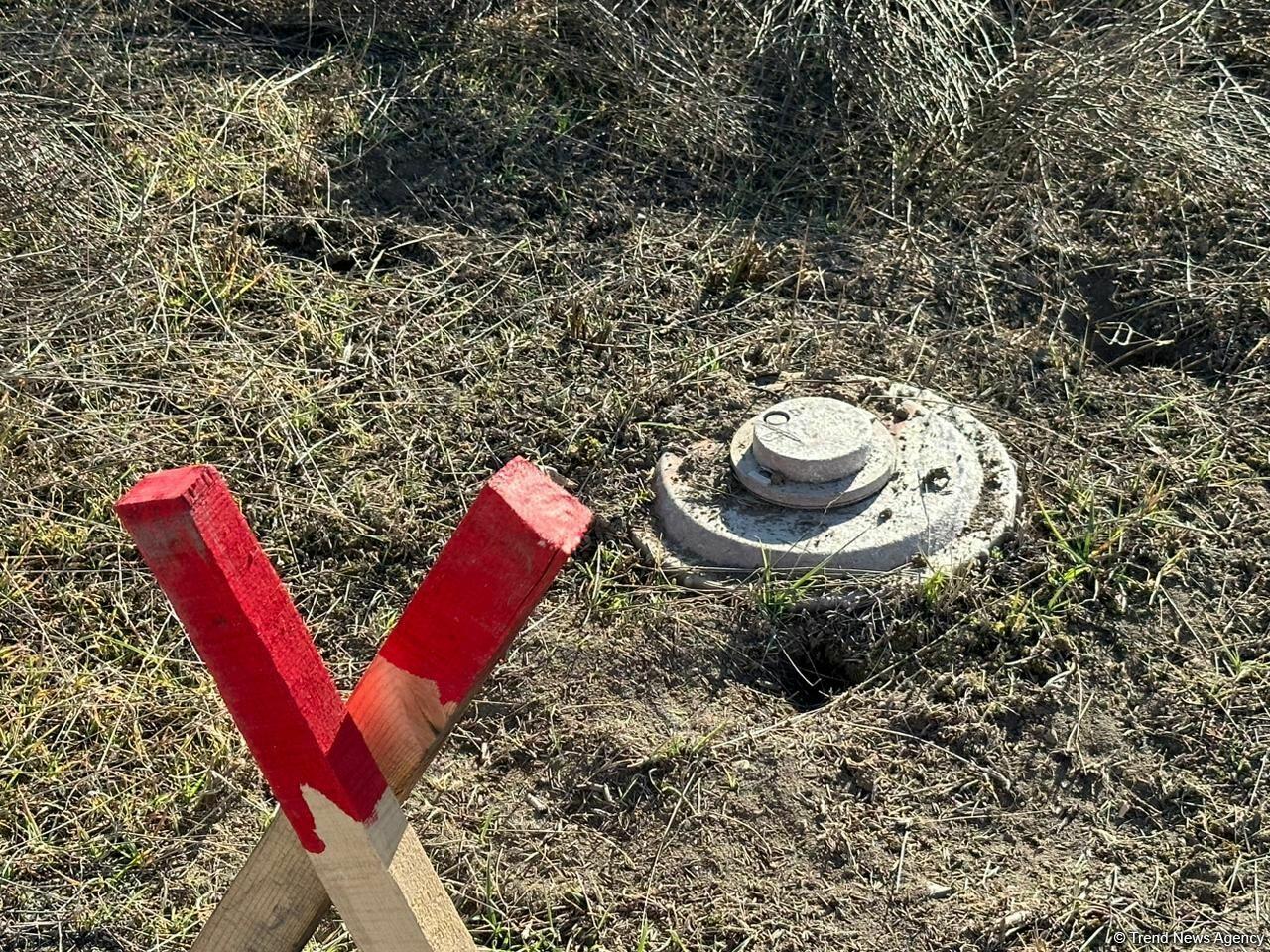 Ermənilər Füzulidə kütləvi məzarlıqların ətrafını minalayıb