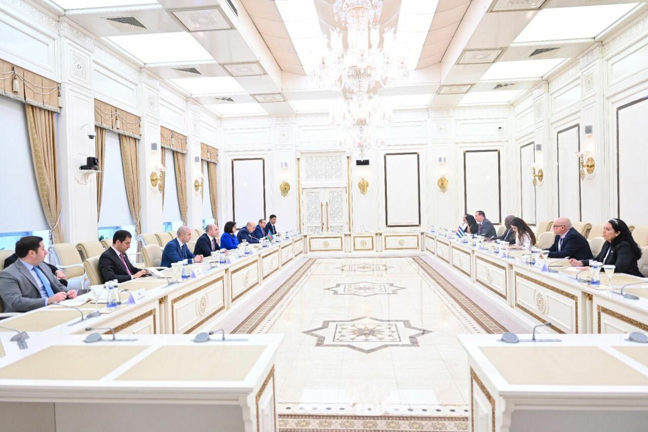 Sahibə Qafarova Kuba Respublikasının vitse-prezidenti ilə görüşüb