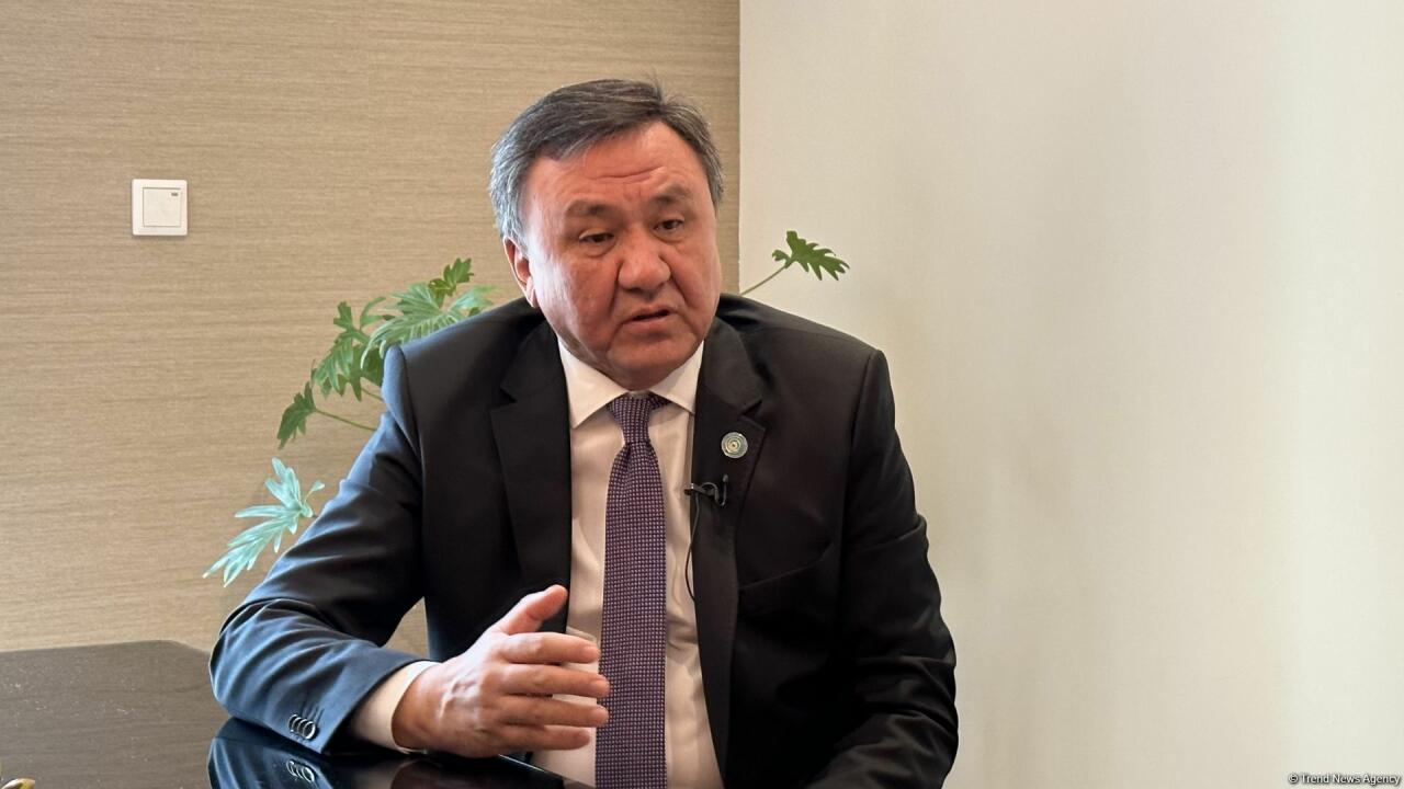 Prezident İlham Əliyevin BMT Təhlükəsizlik Şurasının yenidən formalaşmasına dair təşəbbüsü - Qoşulmama Hərəkatının sammitinin əsas yekunu