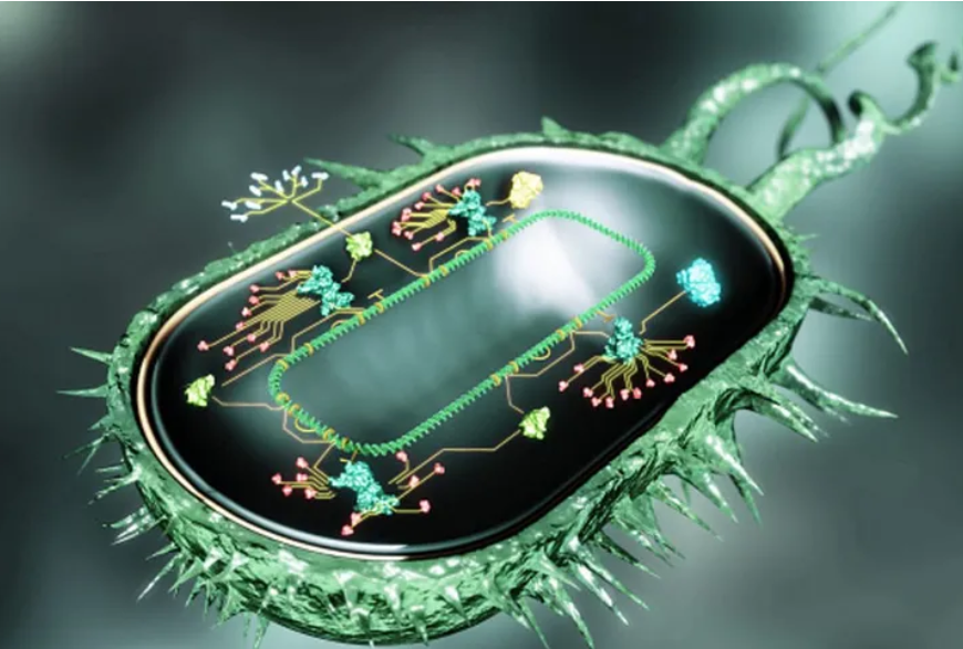 İnsan beyninə yaxın materiallardan yeni kompüter hazırlanır