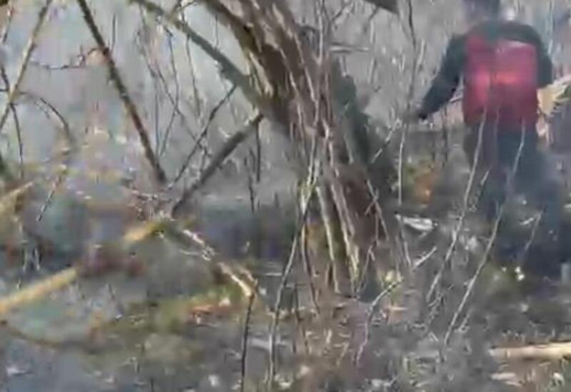 Пожар в Габалинском районе локализован