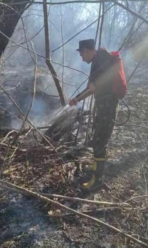 Пожар в Габалинском районе локализован