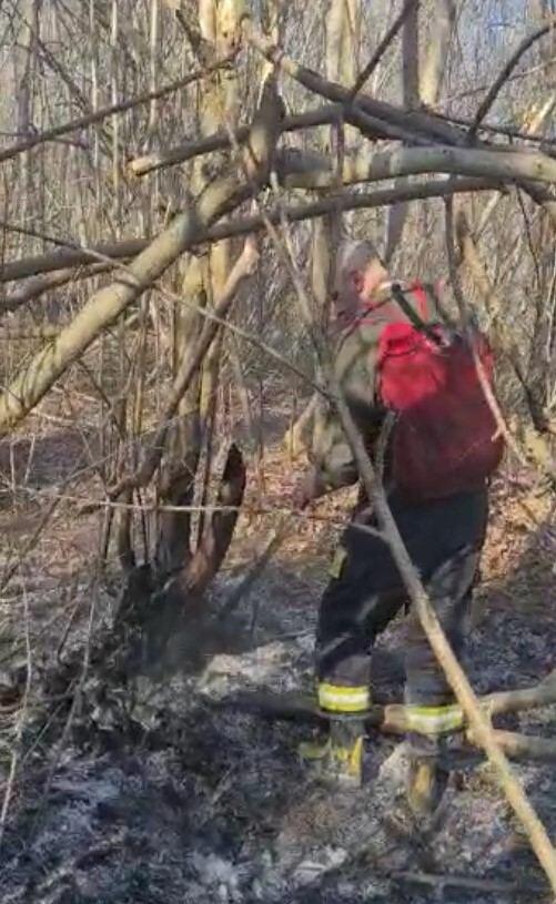 Пожар в Габалинском районе локализован
