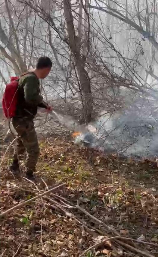 Пожар в Габалинском районе локализован