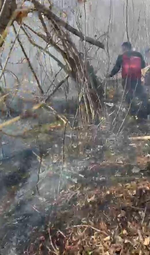 Пожар в Габалинском районе локализован