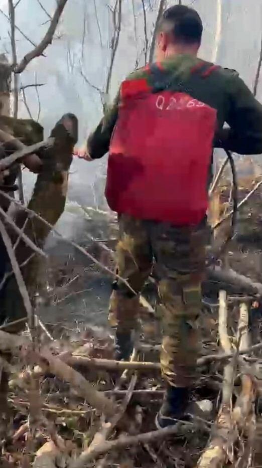 Пожар в Габалинском районе локализован