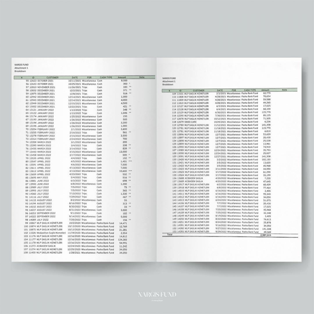Фонд «Nargis» прошел аудиторскую проверку