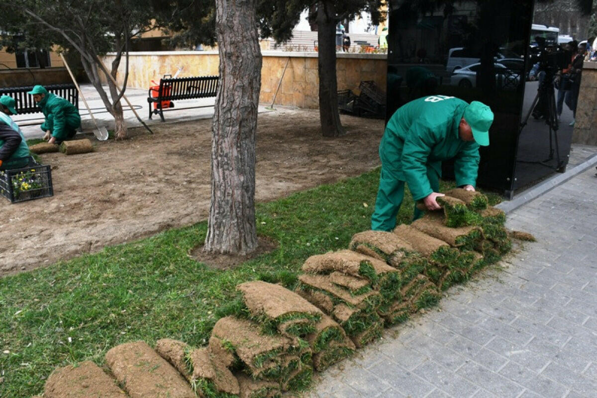 На улицах и проспектах Баку продолжаются работы по благоустройству