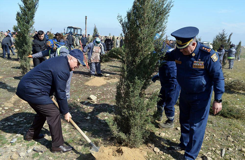 В азербайджанской армии проведены акции по посадке деревьев