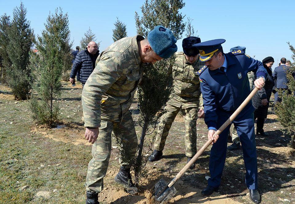 В азербайджанской армии проведены акции по посадке деревьев