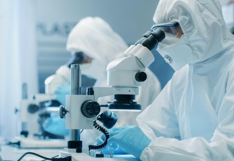 Ученые предположили новую версию появления COVID-19