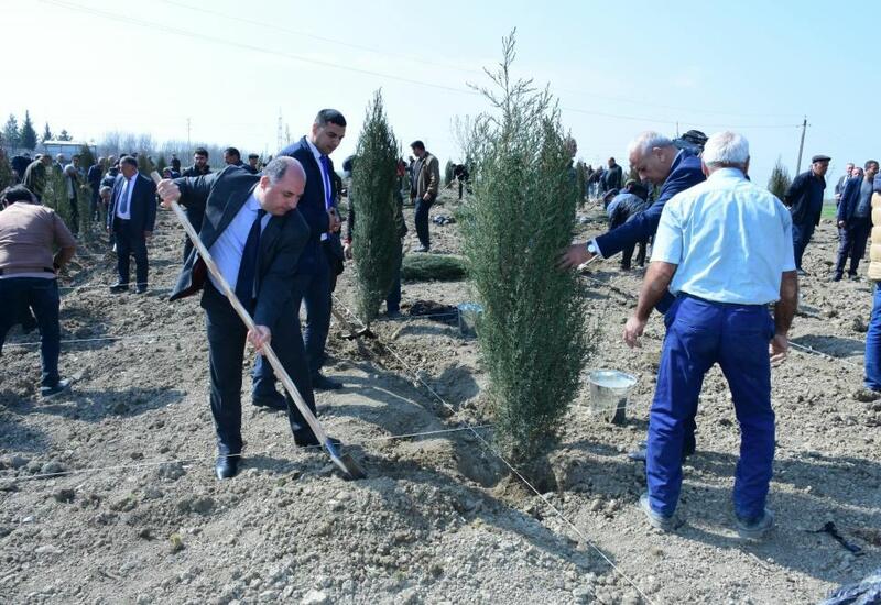 “Heydər Əliyev İli” çərçivəsində YAP-ın yerli təşkilatları ağacəkmə kampaniyası keçirib