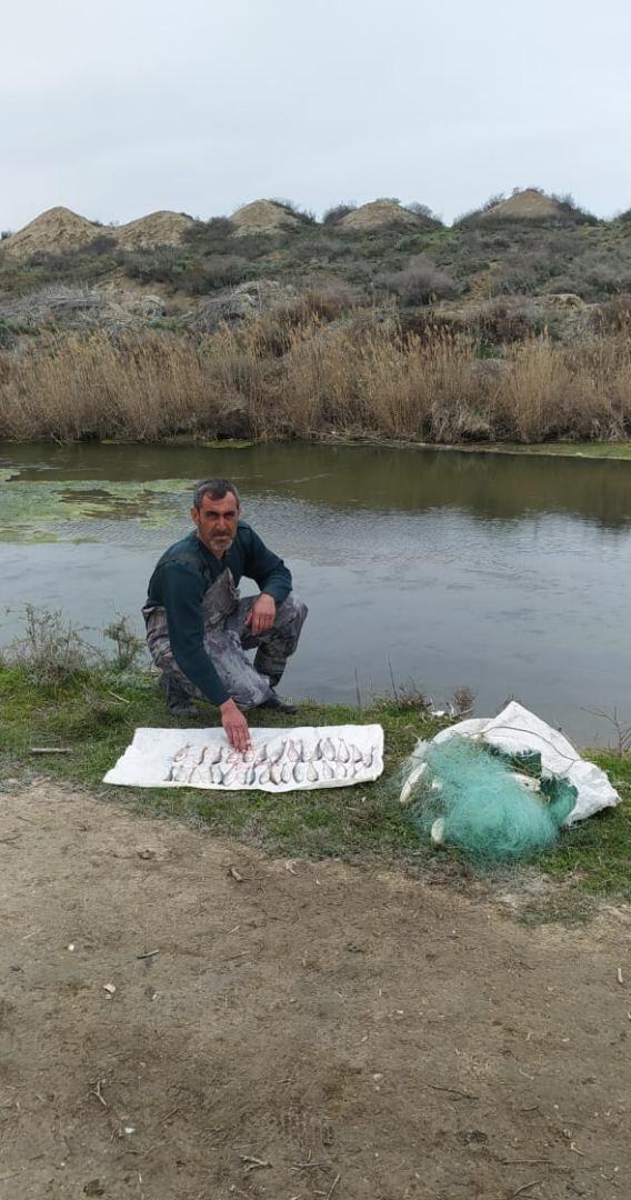Neftçalada qanunsuz balıq ovu ilə məşğul olan şəxs saxlanılıb