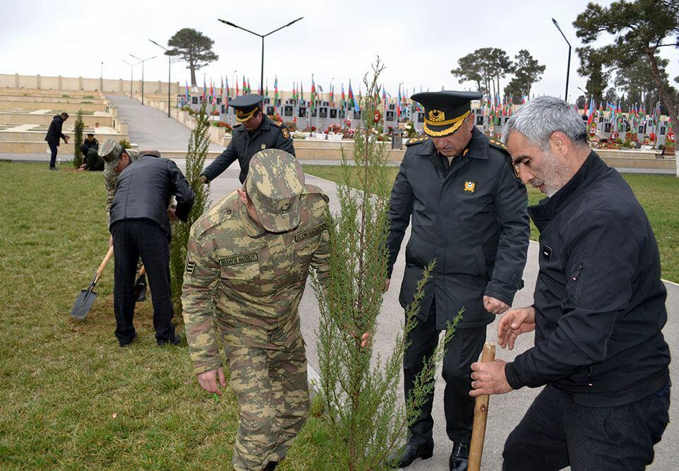 İkinci Şəhidlər xiyabanında növbəti ağacəkmə aksiyası keçirilib