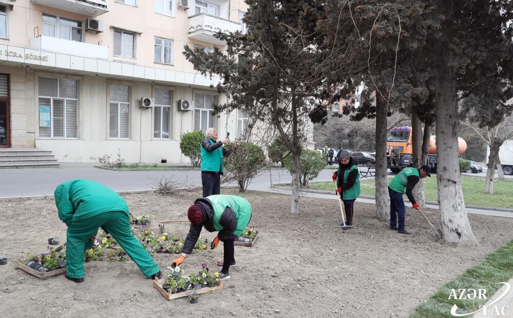 В Баку прошел общегородской субботник