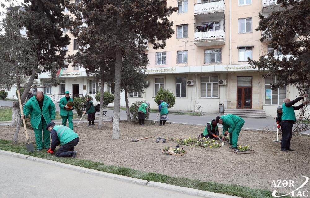 В Баку прошел общегородской субботник