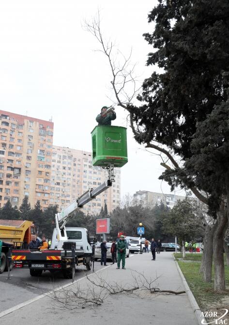 В Баку прошел общегородской субботник