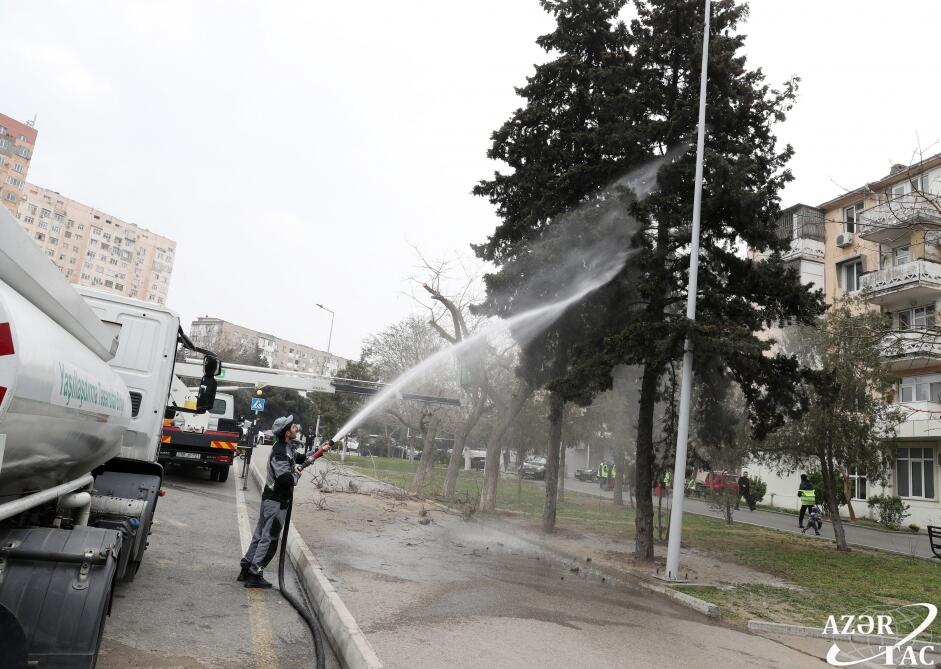 В Баку прошел общегородской субботник