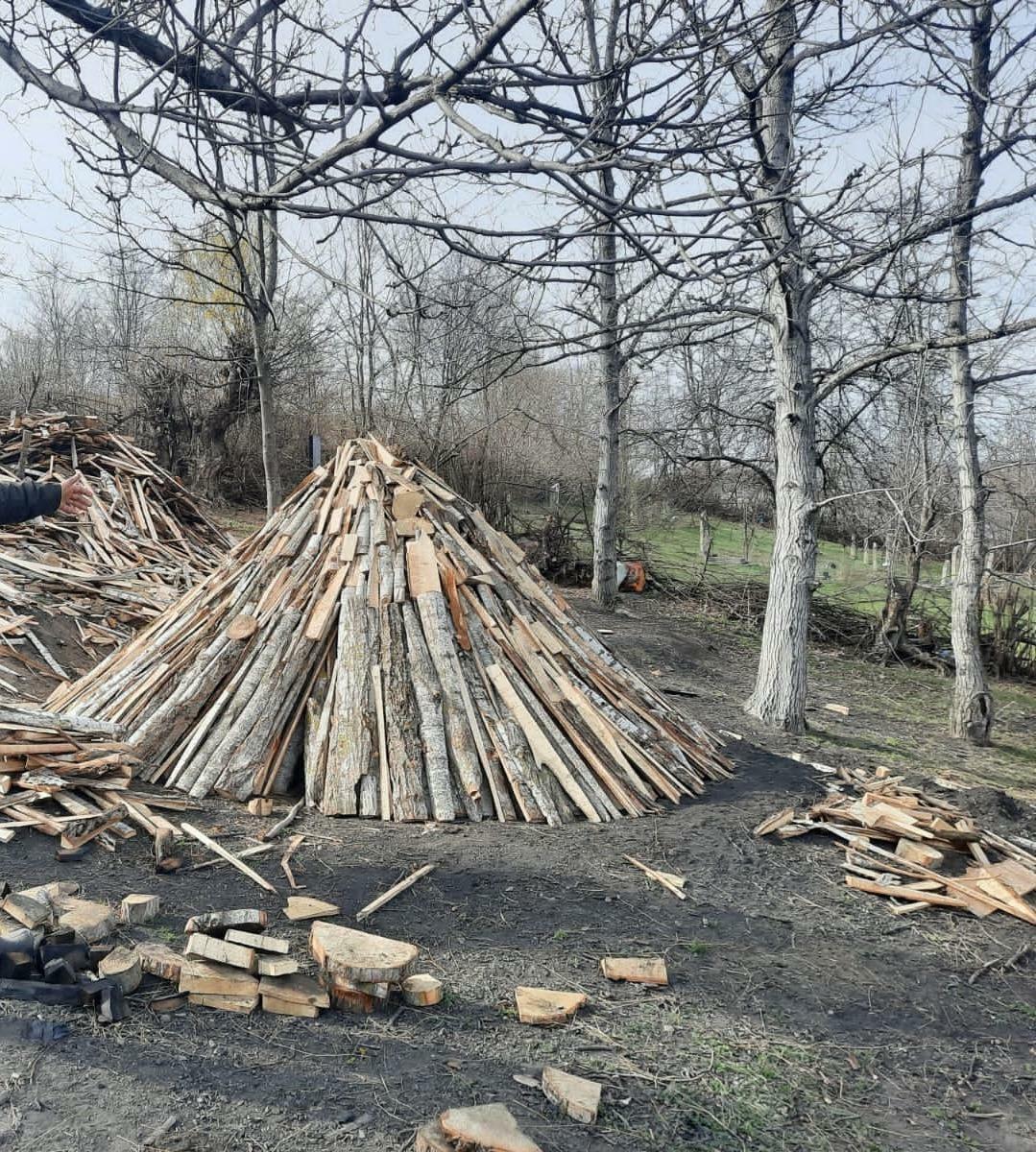 В Губе пресечено незаконное производство угля
