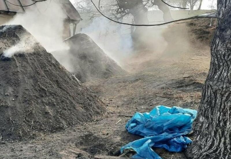 В Губе пресечено незаконное производство угля