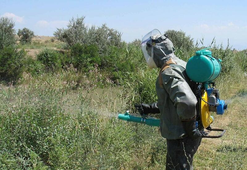 ВОЗ сертифицировала Азербайджан как страну, "свободную от малярии"