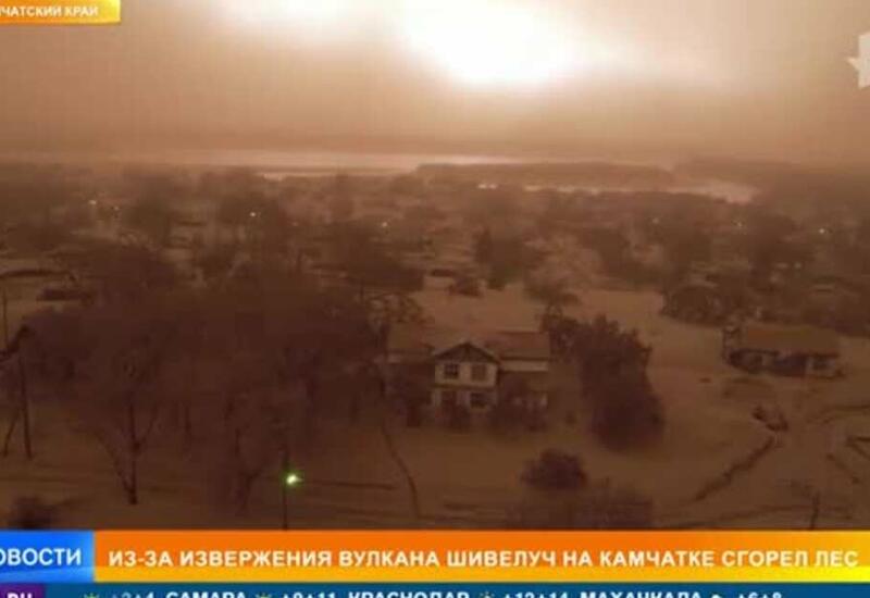 Из-за извержения вулкана Шивелуч на Камчатке загорелся лес