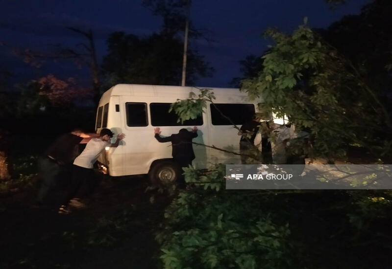 Поваленные ветром деревья перекрыли старое шоссе Алят-Астара